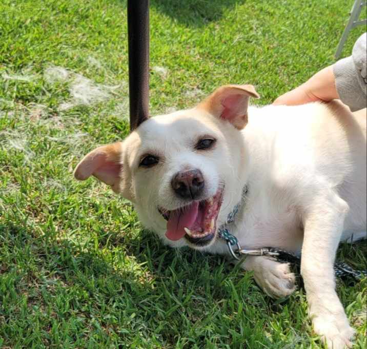 Photo of Rudy
