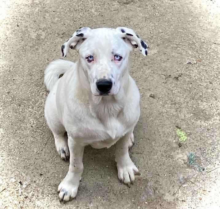 Photo of Salyersville : Shiloh
