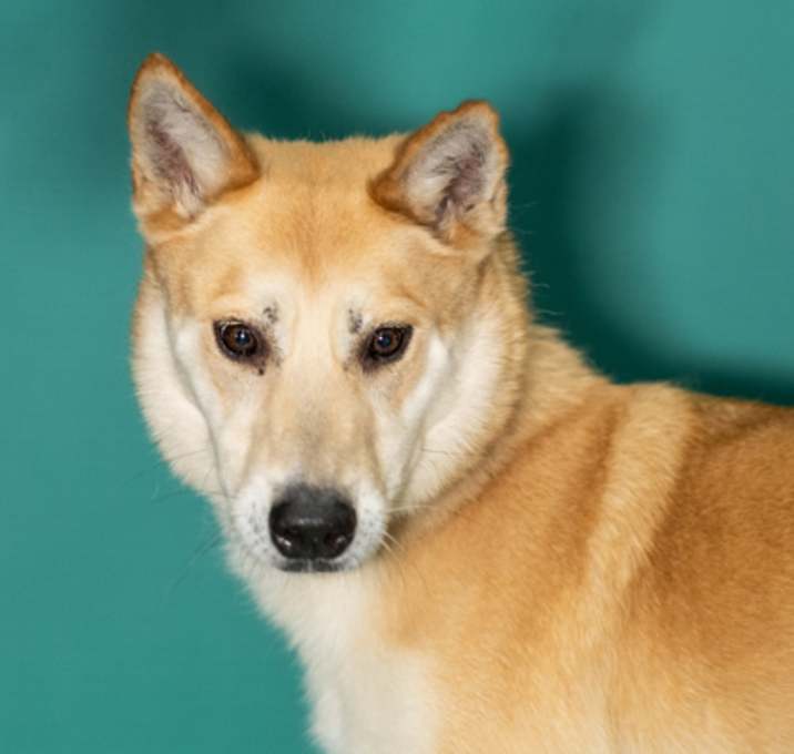 Photo of Snider