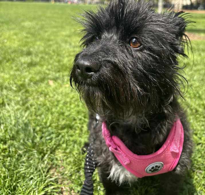 Photo of Amy
