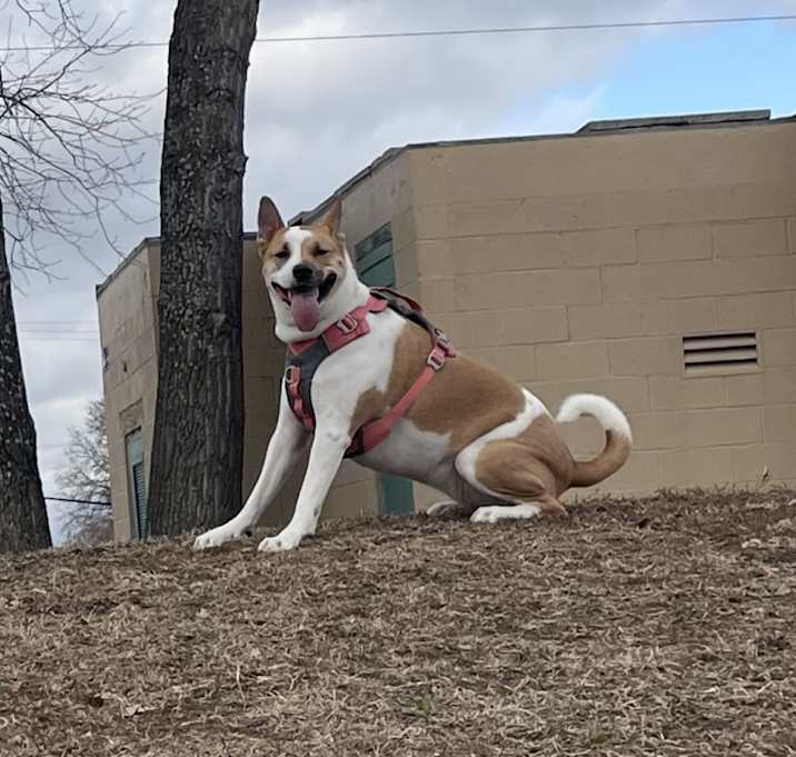 Photo of Sophie