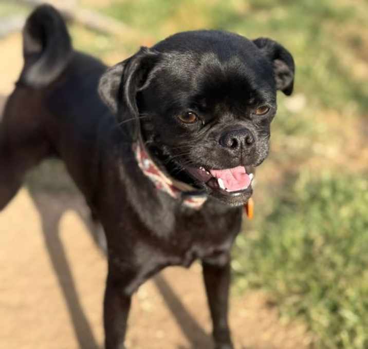 Photo of Lulu