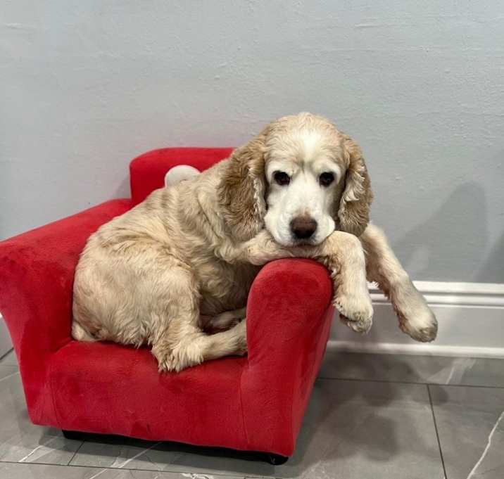 Photo of Max