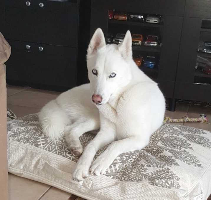 Photo of Zuna