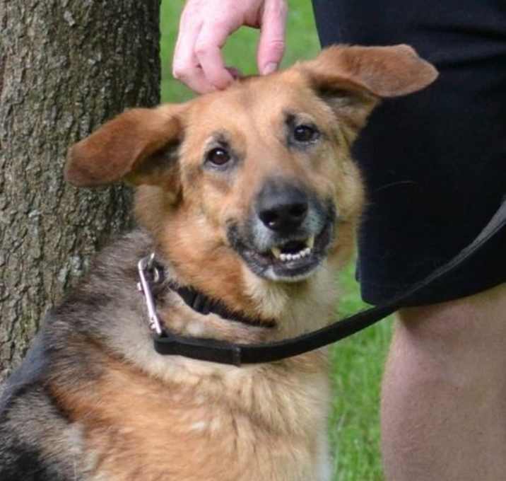 Photo of Maizie