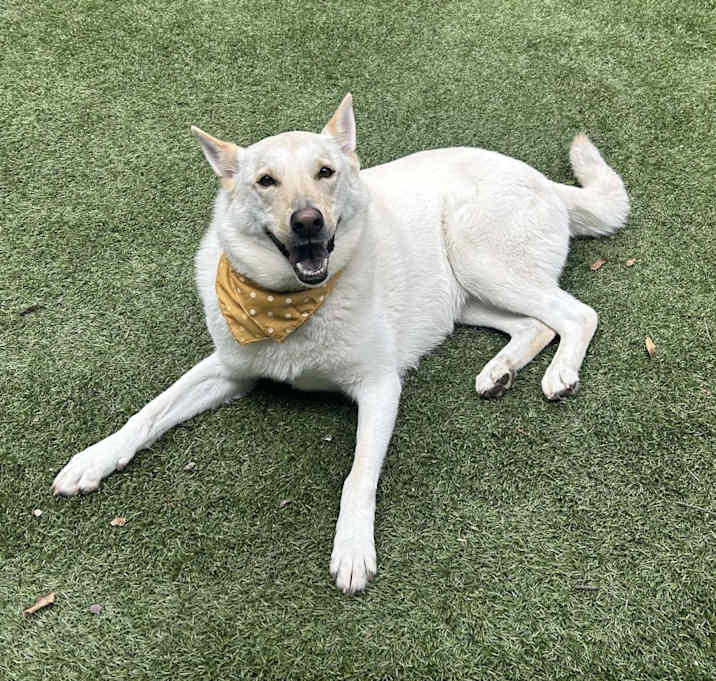 Photo of Maxie