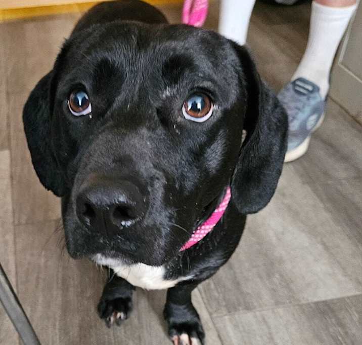 Photo of Heinz