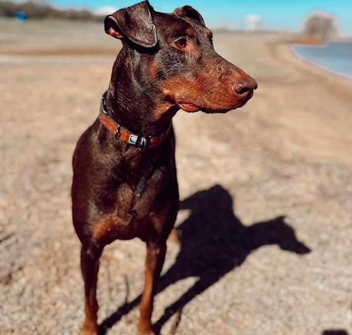 Photo of Luka