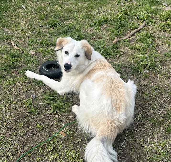 Photo of Chase