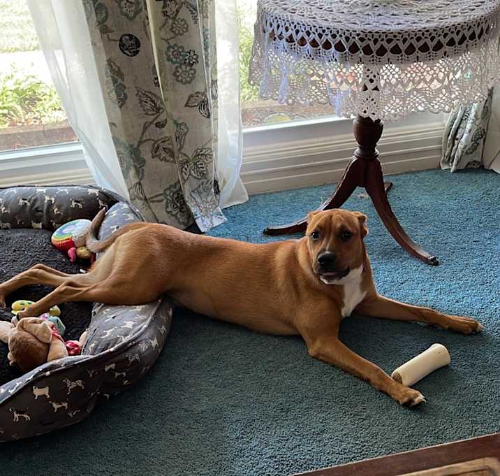Photo of Millie