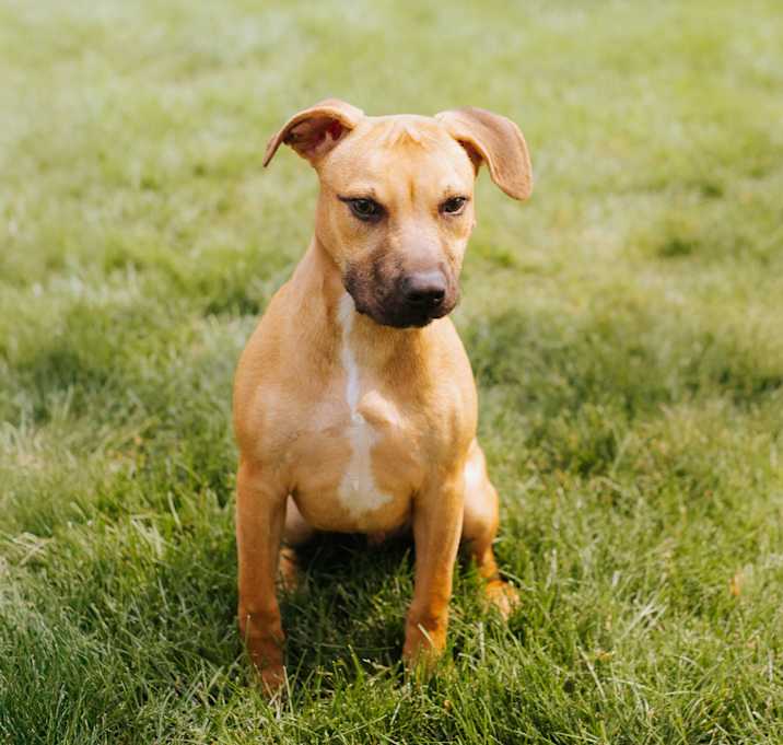 Photo of Elroy