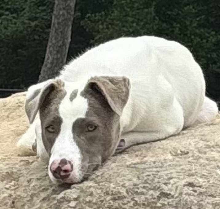 Photo of Luna