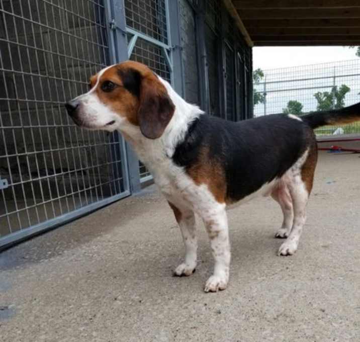 Photo of Bullet
