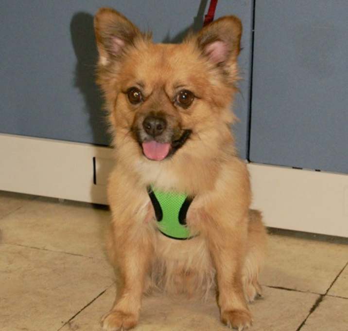 Photo of Louie