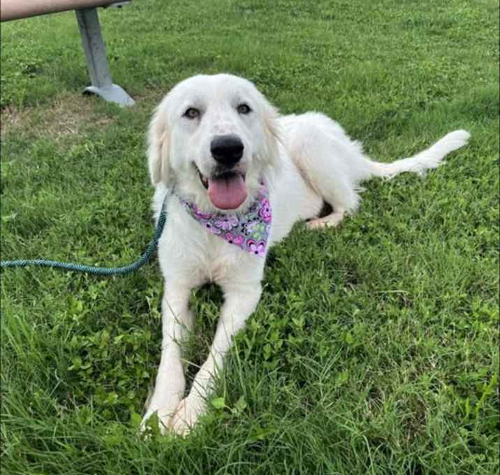 Photo of SHELBY