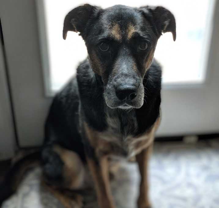Photo of Charlie