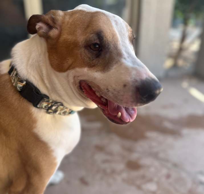 Photo of Roo