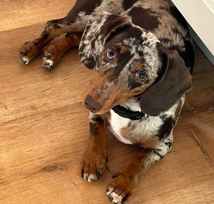 Photo of Charlie