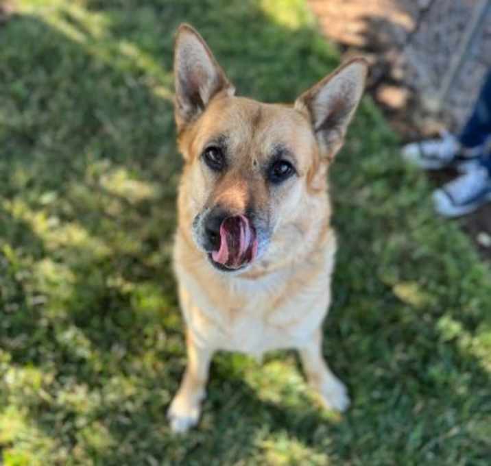 Photo of Lady