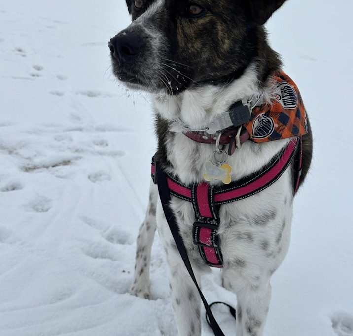 Photo of Mabel