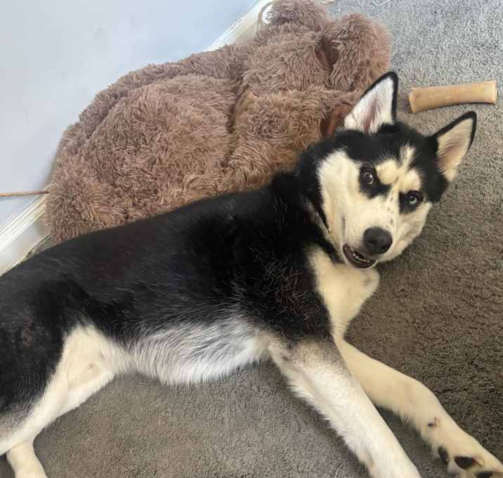 Photo of Thor