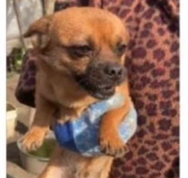 Photo of Alvin