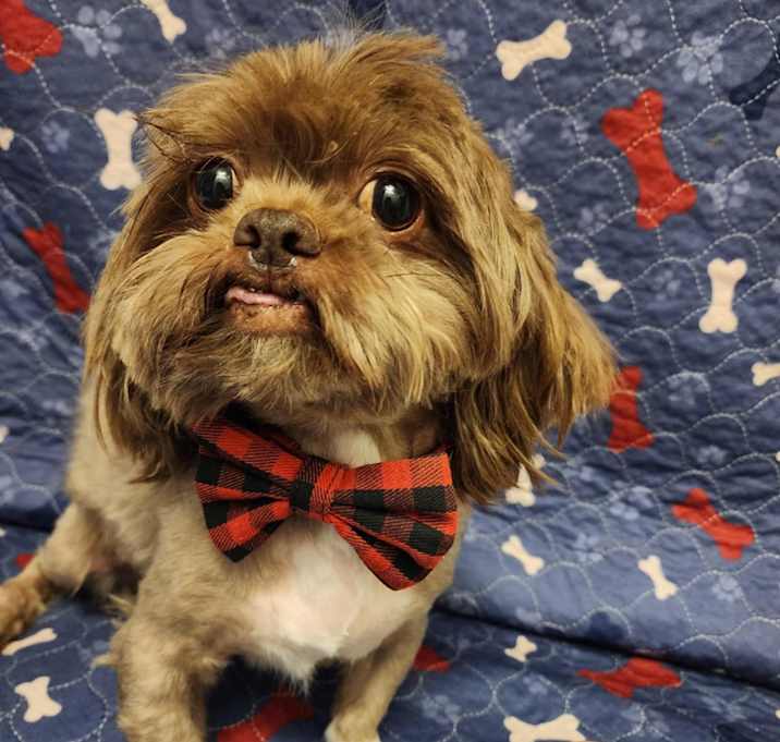 Photo of Hershey