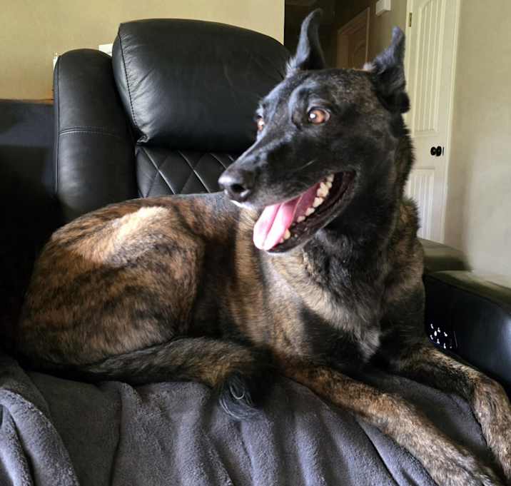 Photo of Athena