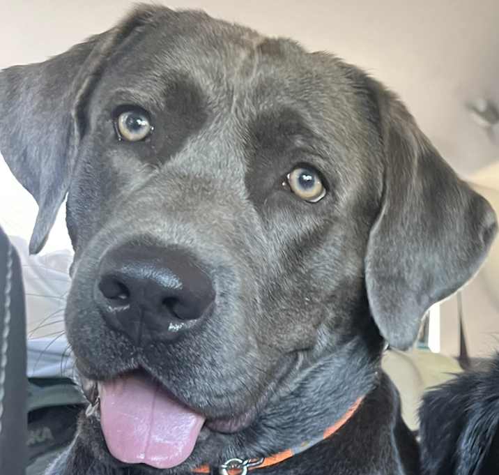 Photo of Wilbur