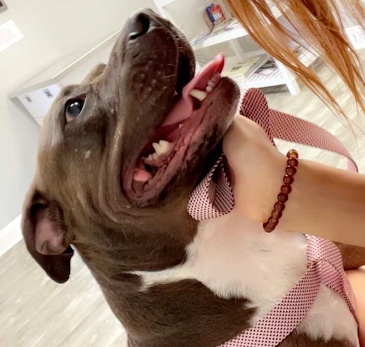 Photo of Lulu
