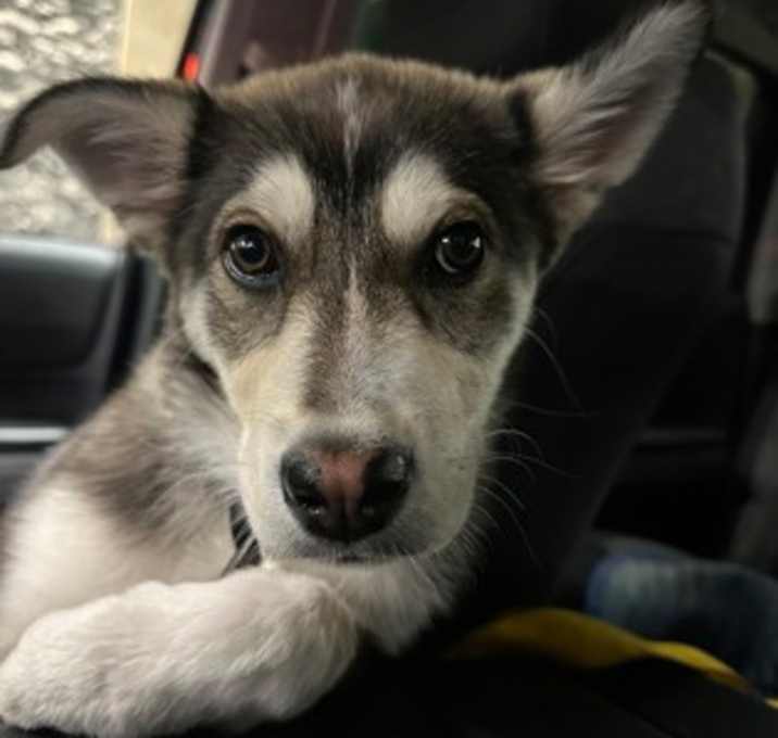 Photo of Tina