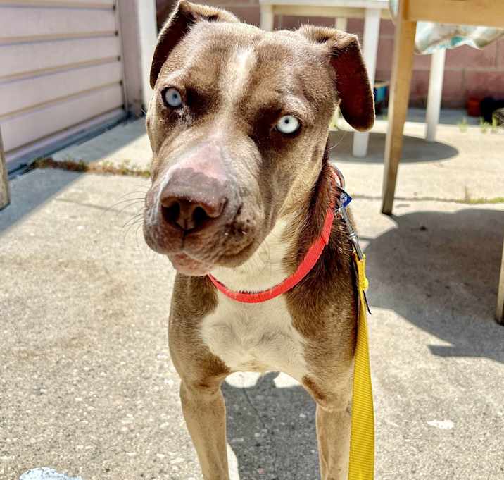Photo of Hazel