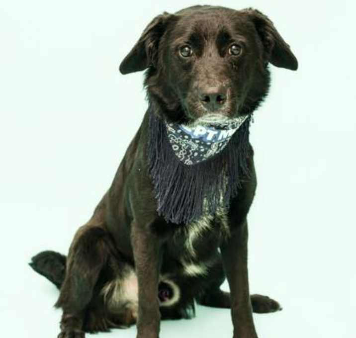Photo of 89360 Hank