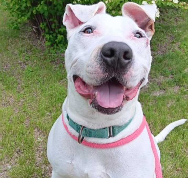 Photo of Kilo