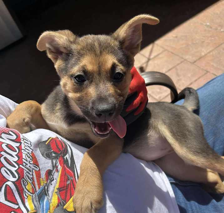Photo of RUBY