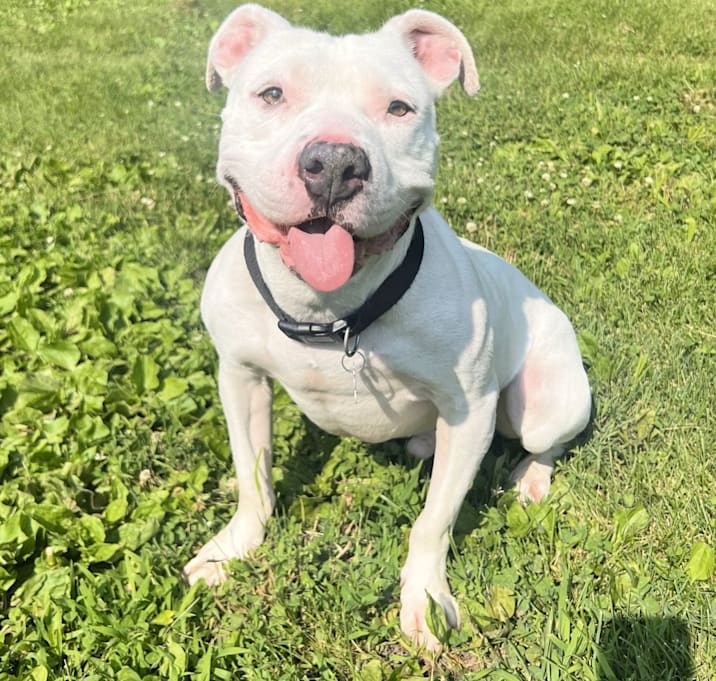 Photo of Blue