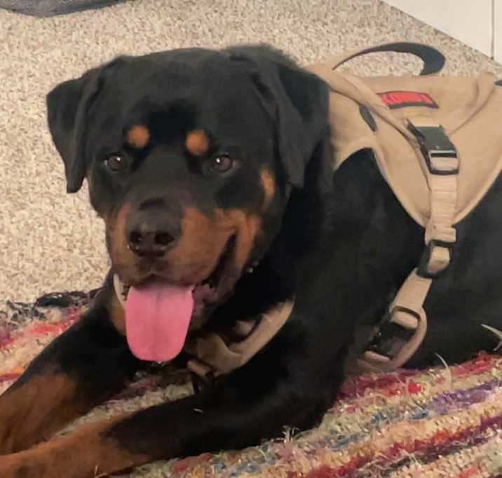 Photo of Kylo