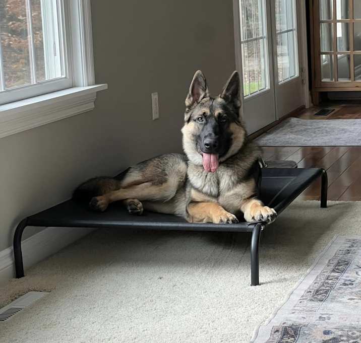 Photo of Xander