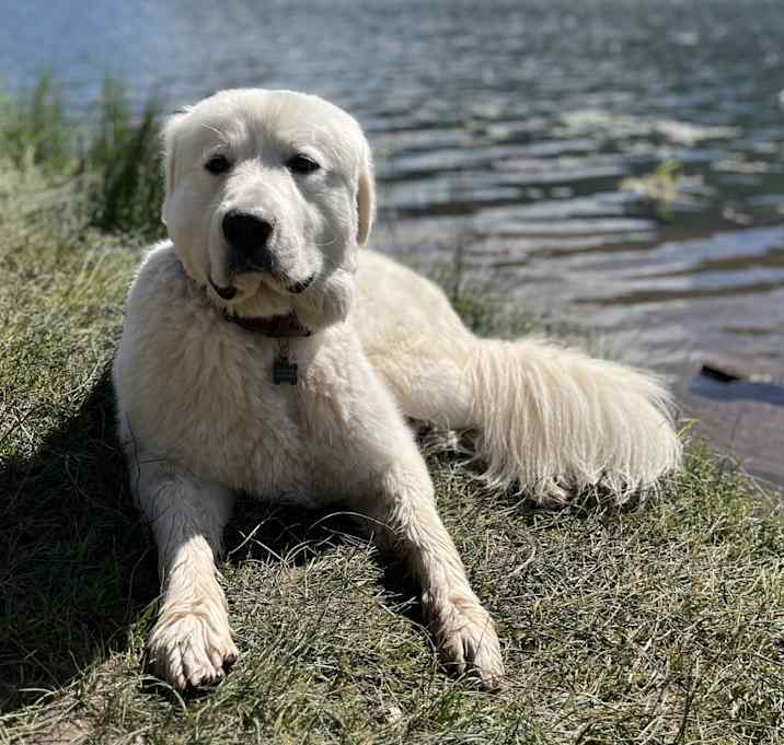 Photo of Monty