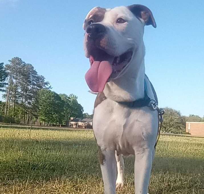 Photo of Zelda
