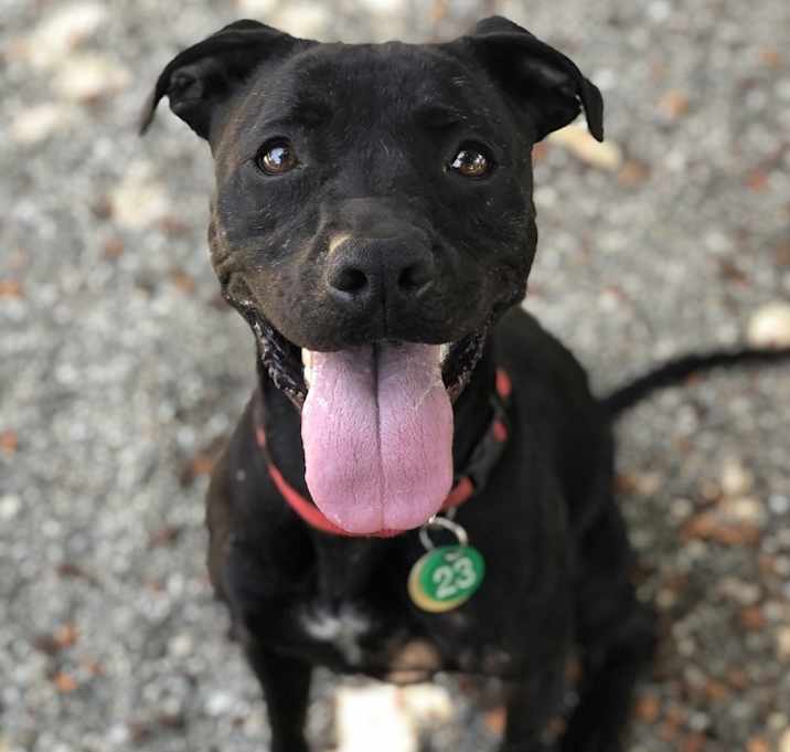 Photo of Leia