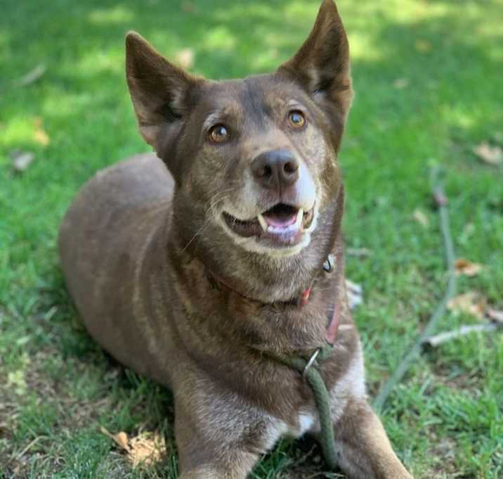 Photo of Daisy