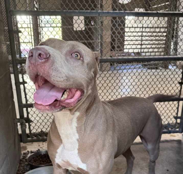 Photo of Lola