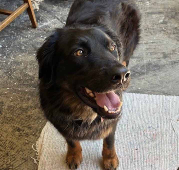 Photo of Reggie