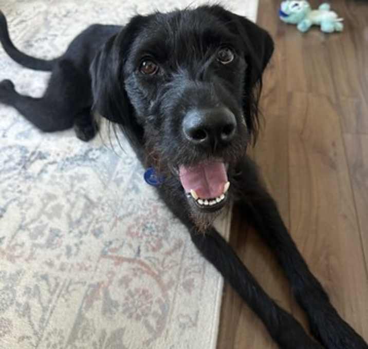 Photo of Tipsy