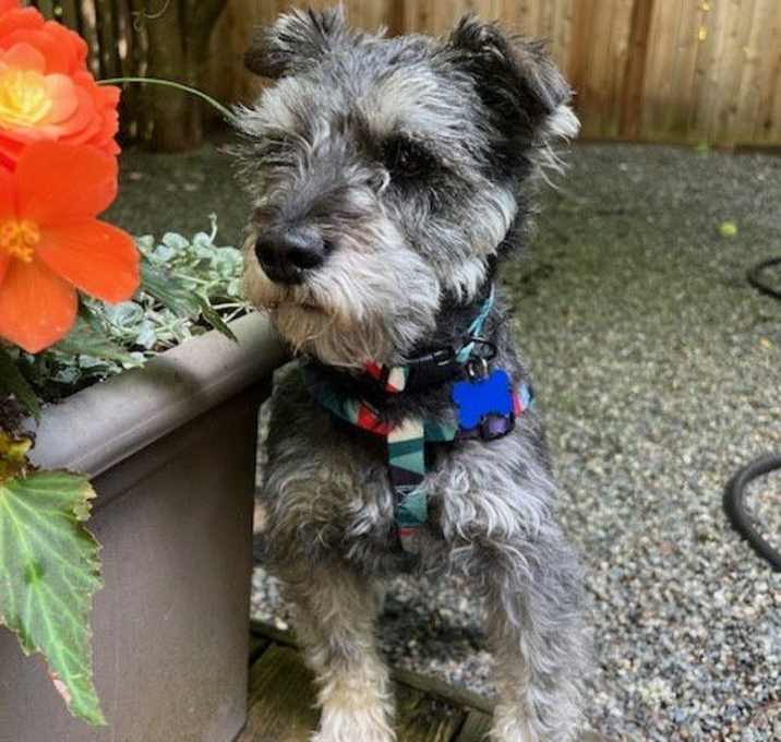 Photo of Tater