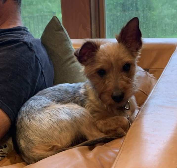 Photo of Finn