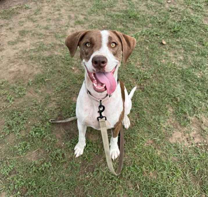 Photo of MABEL