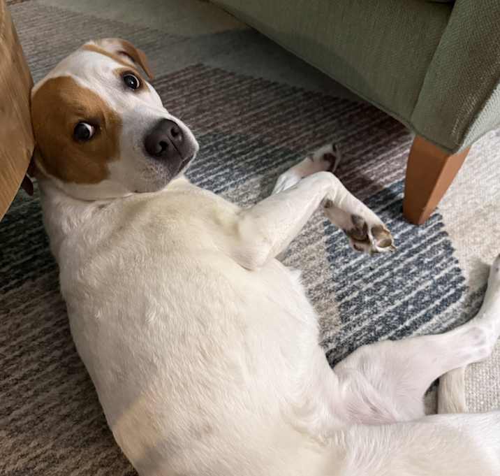 Photo of CoCo