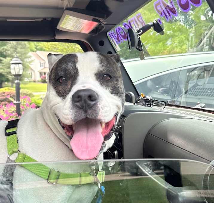 Photo of Petey